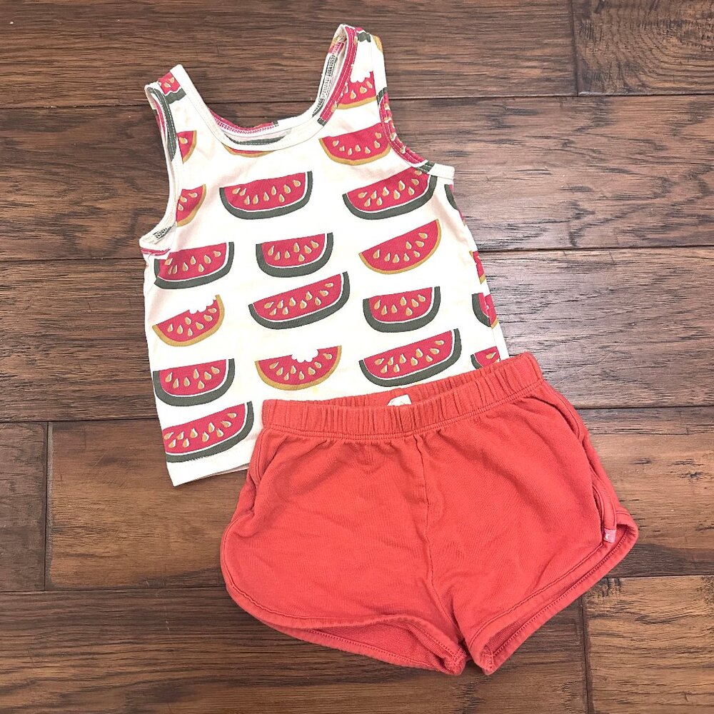 Coop Kids by Pink Chicken Watermelon Play Set